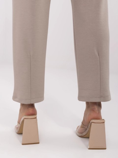 Spodnie-DHJ-SP-20523.66P-ciemny bezowy