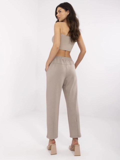 Spodnie-DHJ-SP-20523.66P-ciemny bezowy