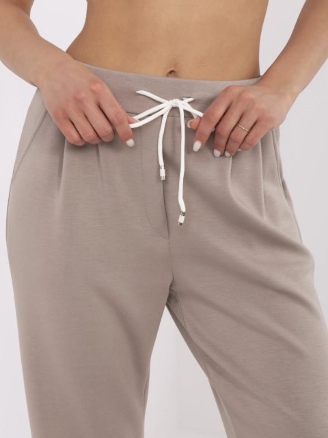 Spodnie-DHJ-SP-20523.66P-ciemny bezowy