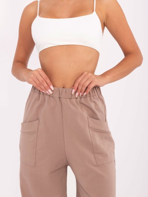 Spodnie dresowe-RV-DR-9719.86-ciemny bezowy