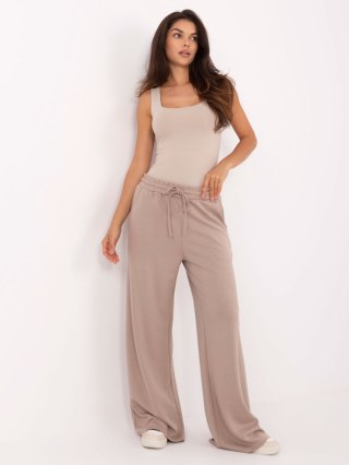 Spodnie dresowe-RV-DR-A611.52-ciemny bezowy