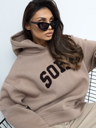 Bluza-RV-BL-A1043.17-ciemny bezowy