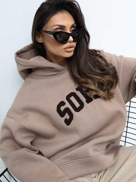 Bluza-RV-BL-A1043.17-ciemny bezowy