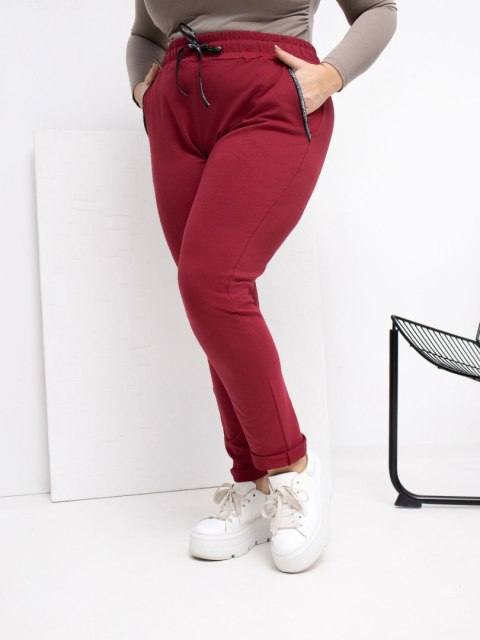 Spodnie dresowe-RV-DR-4765.52-bordowy